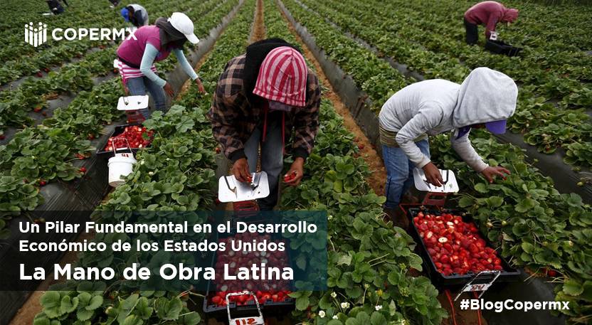 La Mano de Obra Latina: Un Pilar Fundamental en el Desarrollo Económico de los Estados Unidos