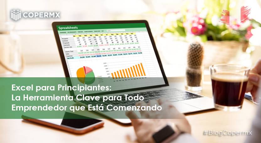 Excel para Principiantes: La Herramienta Clave para Todo Emprendedor que Está Comenzando