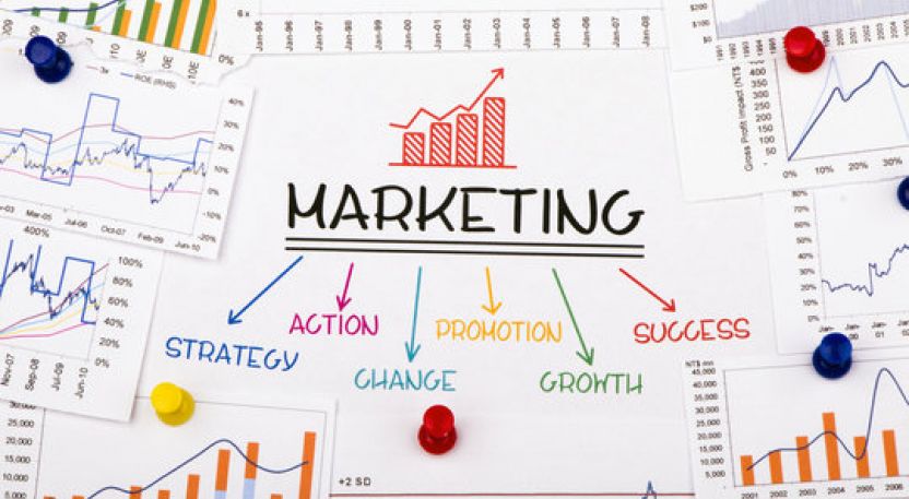 Marketing Especializado